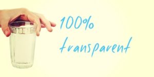 Transparent - Reinicia Digital Marketing Agency