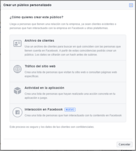 publico-personalizado-facebook