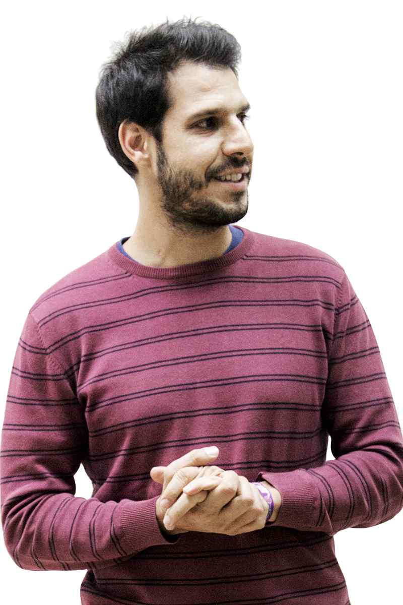 Asesor de Estrategia y Marketing