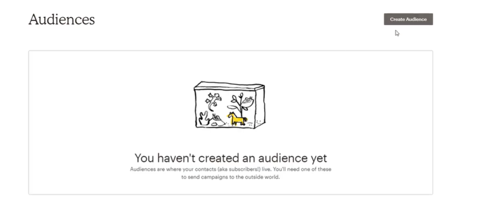 imagen audiencias Mailchimp