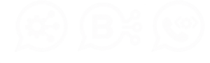Iconos-WhatsApp-Business-API-1-Web-Blanco